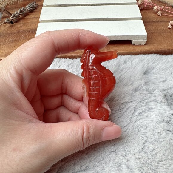 Cute Small Carnelian Seahorse Carving - Picture 2 of 6